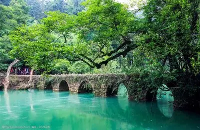 Car maintenance costs one year - one year - one year