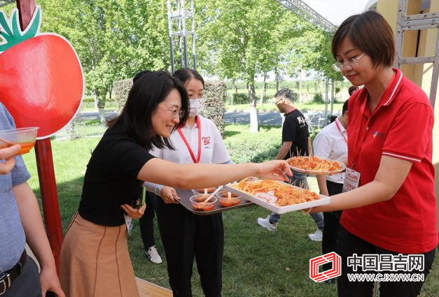 Technical highlights of tomato cultivation &mdash; tomato cultivation &mdash; tomato cultivation technology and management