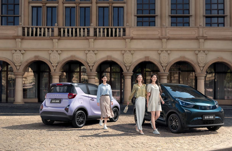 Cost analysis for one year for raising a car