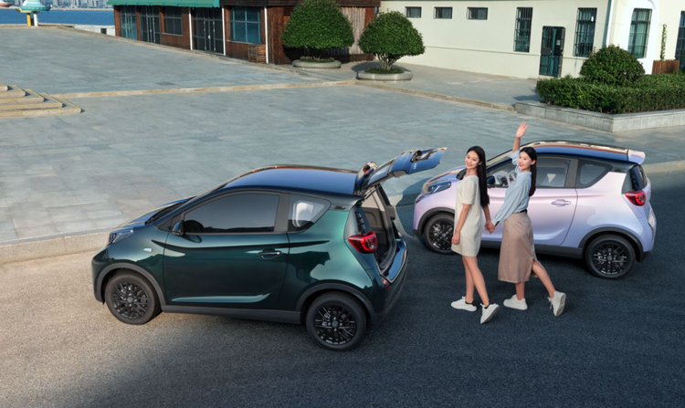 2026 car fare for small ants one year for raising cars cost analysis for small ants insurance