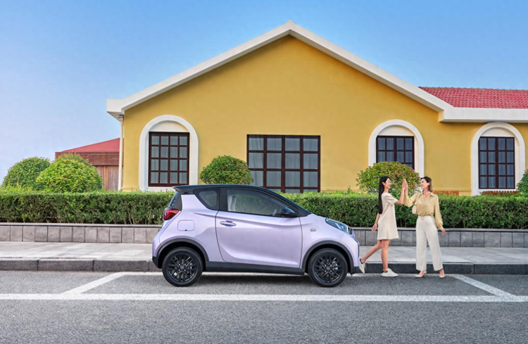 2026 car fare for small ants one year for raising cars cost analysis for small ants insurance