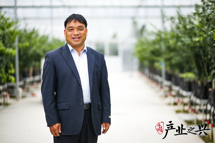 Huang, the technical director of the de gyeongung log industrial park in bequeu, grows a greenhouse in citrus seedlings. Photographer/yen yuming, wu jun, zhang jian