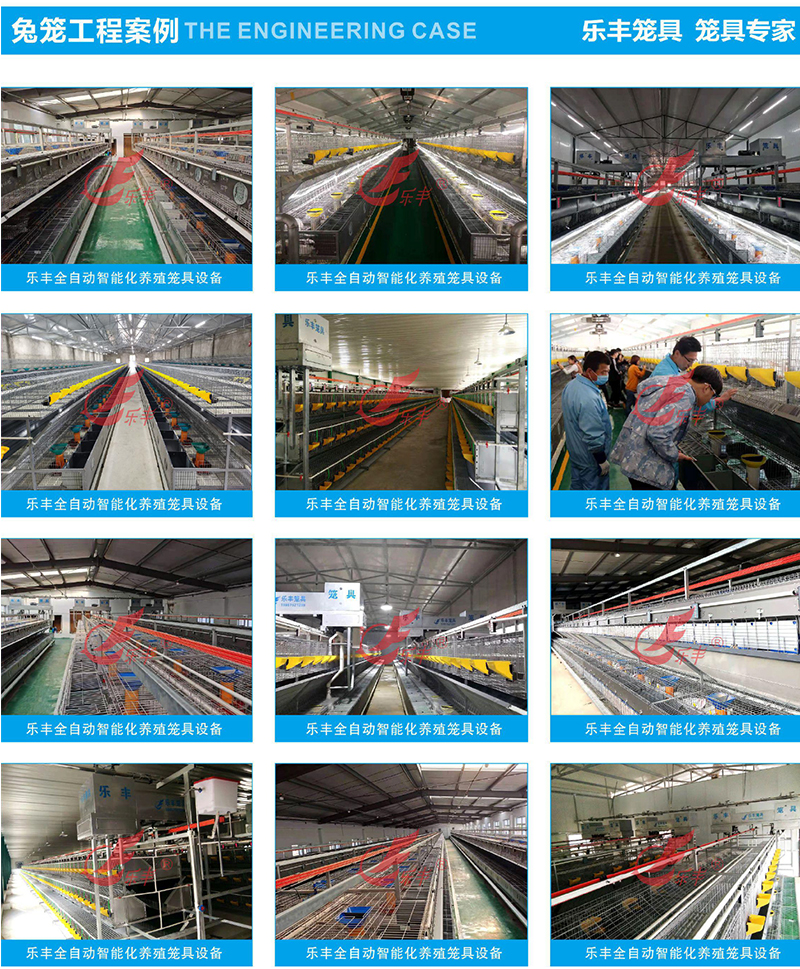 20230828/image/4djwchajmbtow 4814i5ama. Jpg