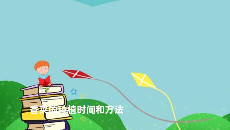 Timing and method of planting cilantro