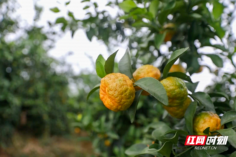 Screen 2022-12-12 21. 24. 24. Png