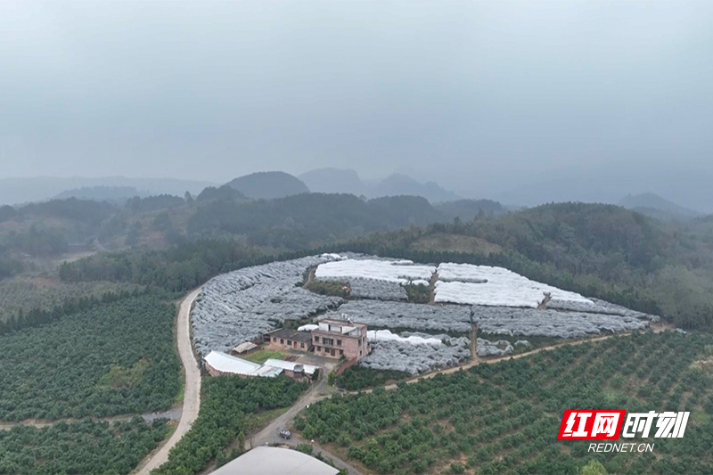 2022-12-12 21. 07. 22. Png