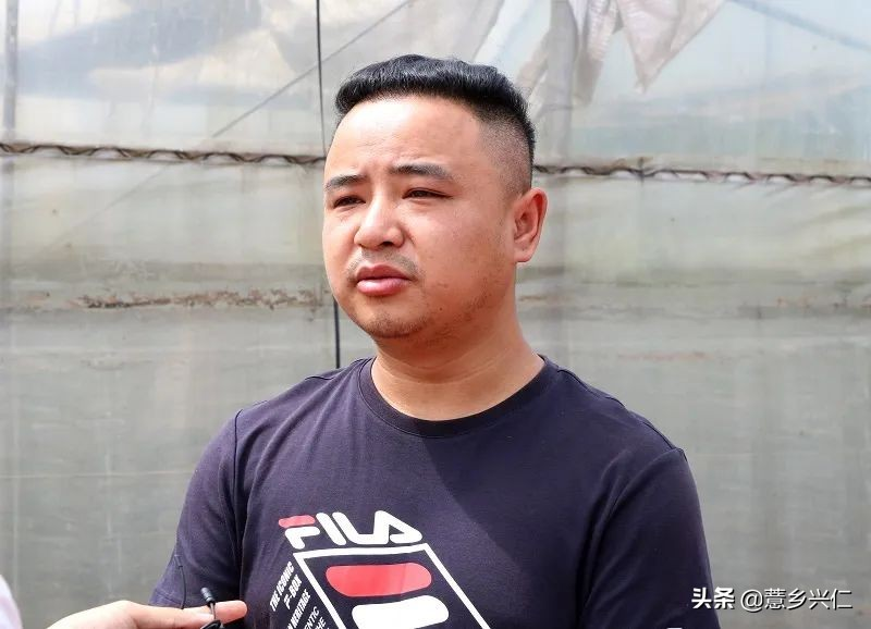 Ma jia-tung eco-molly grape