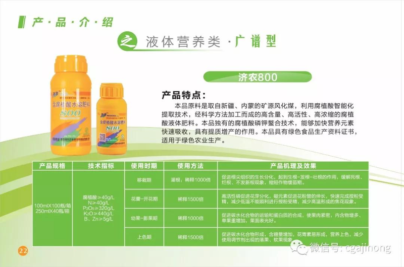 Jasmine grape shack cultation technology jasmine grapevine 800