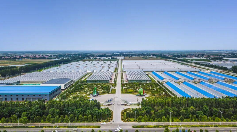 Experiences in life-light agriculture development in the cities   industrialization model in the mills   northern shed vegetable farming techniques