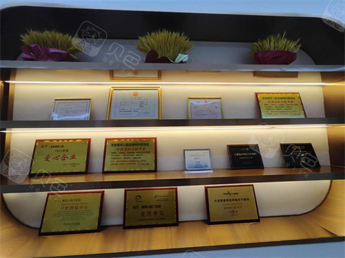 Dragon rock smile oral honours presentation