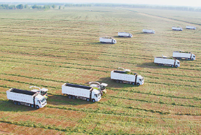 Analysis of the benefits of shifting land to pastures by farmers