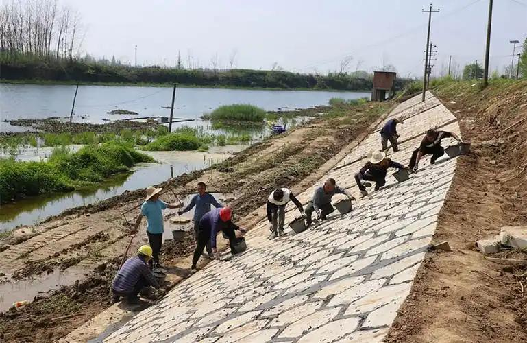 Reasons for the bending of rivers geo-diverse forces and horizontal circulation causative of river steps