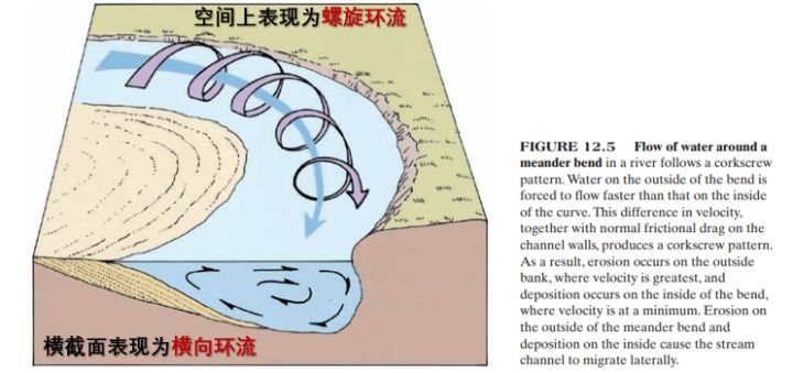 Gravity and transversal circulation - causes of river grade - causes of river bend