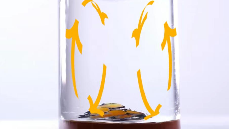 The cause of the river's steps-- the directional forces of the earth and the horizontal circulation-- the cause of the bending of the river