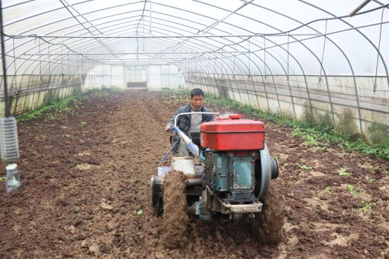 It's the town of peak