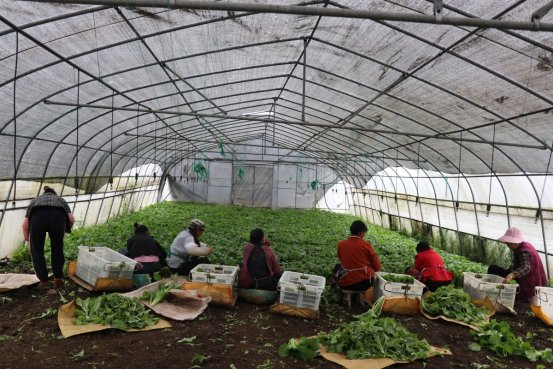 It's the town of peak