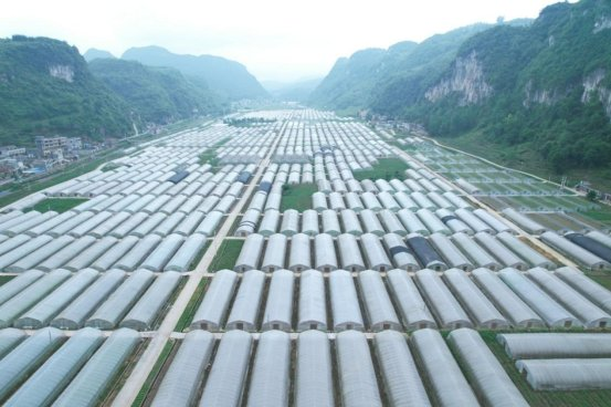 It's the town of peak