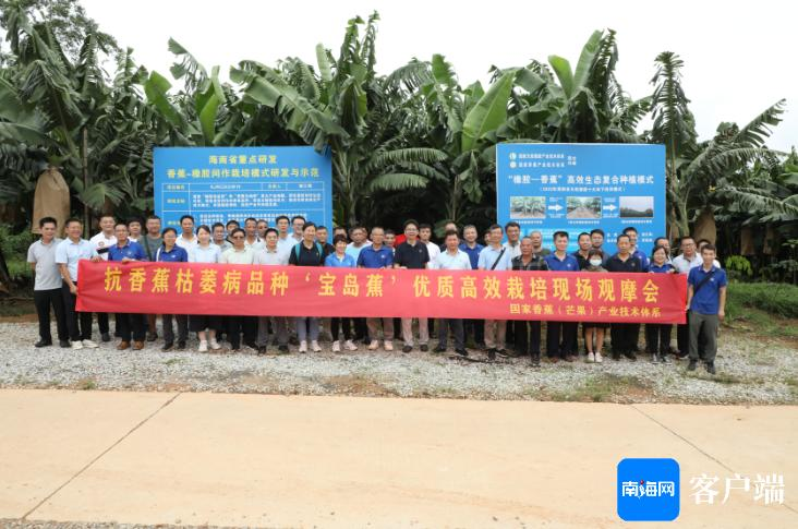 Poshima monument identity banana aging selection banana cultivation technology and management