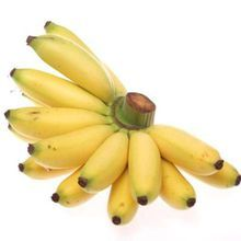 Poshima monument identity banana aging selection banana cultivation technology and management