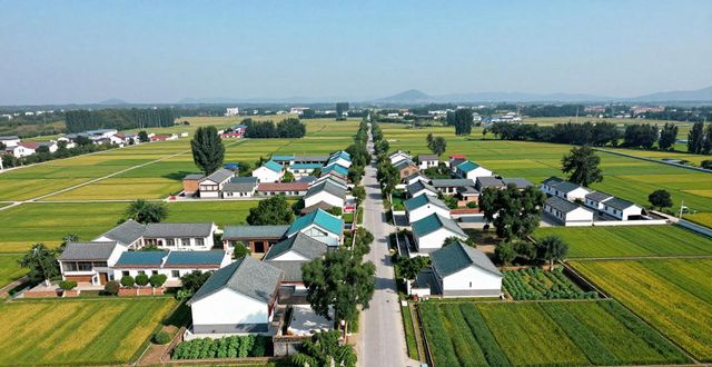 It's the south east village news