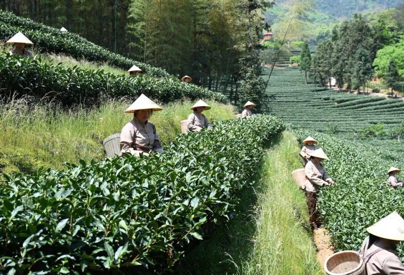 Fujian nanping and news
