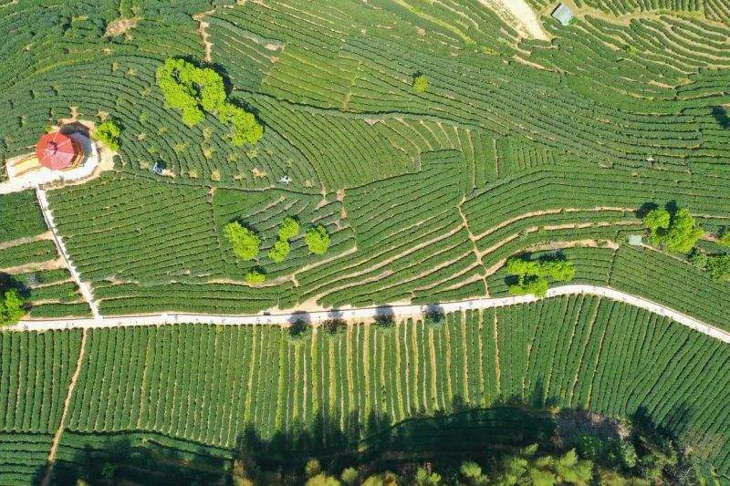 Fujian nanping and news