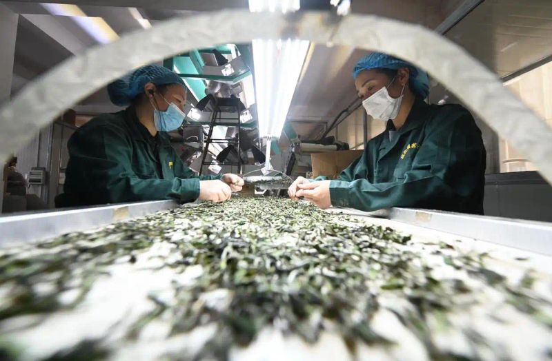 Fujian nanping and news