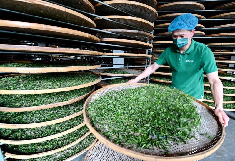 Fujian nanping and news