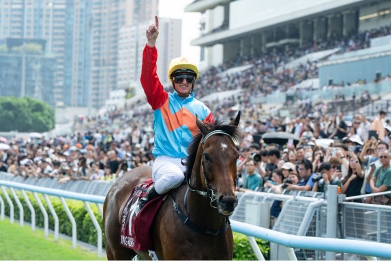 It's a horse racer