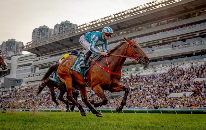 It's a horse racer