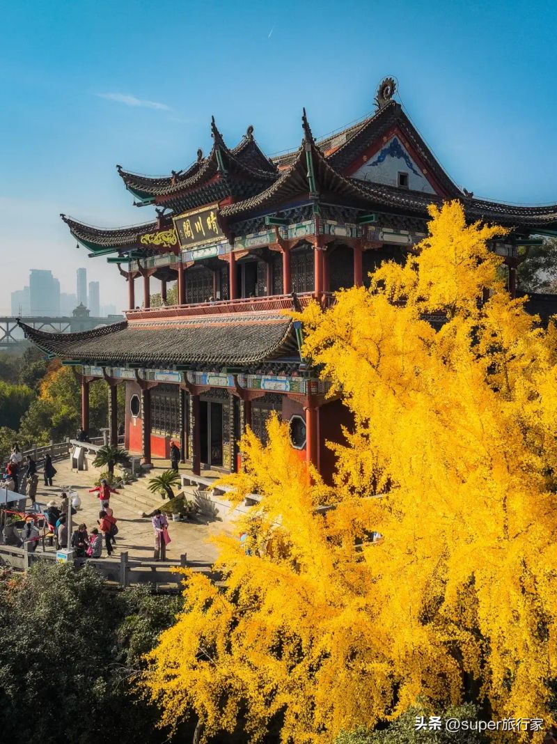 Wuhan news portal