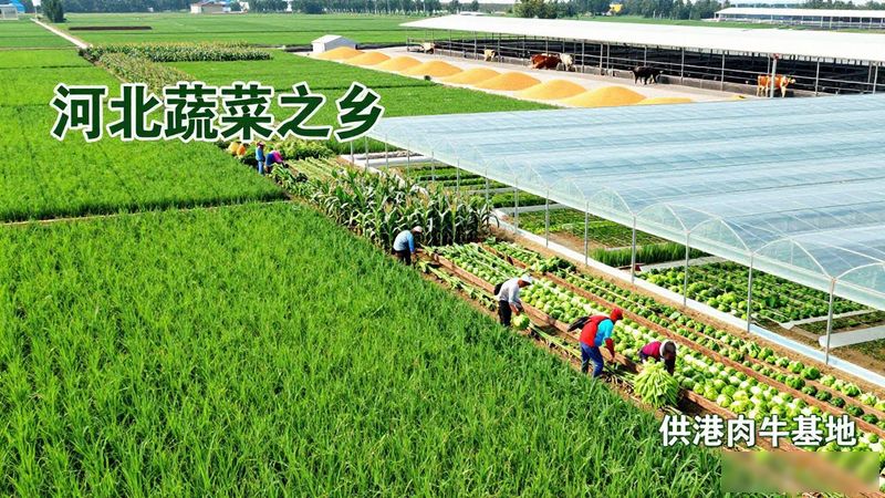Wu city news agency broadcast liu zhang