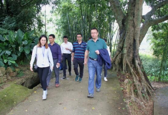 News from five ponds in nanning henning