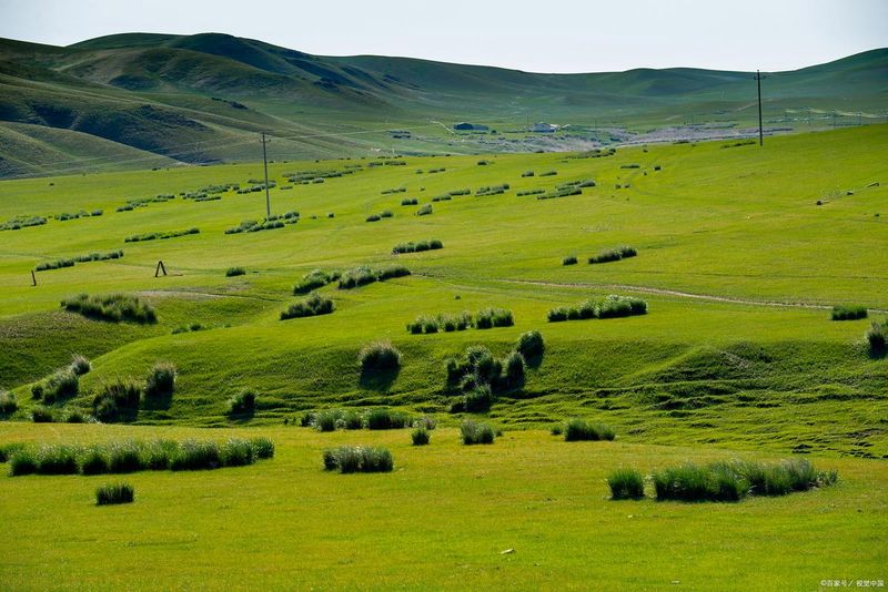 Information on tourism in mongolia